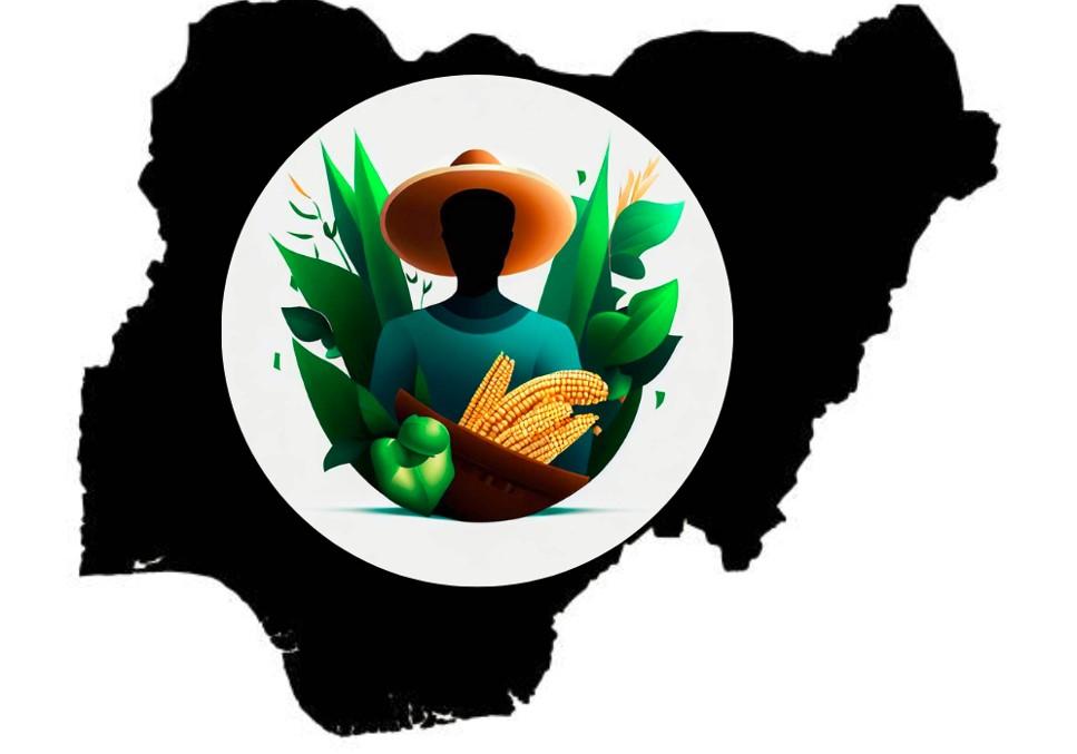 Nigeria Agriculture GDP Falls In Q1 2023, First In 7 Years