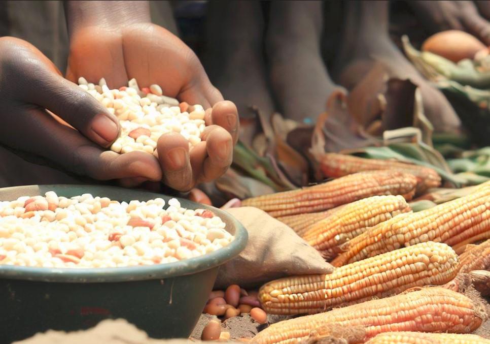 DR Congo Has World's Most Food Insecure People