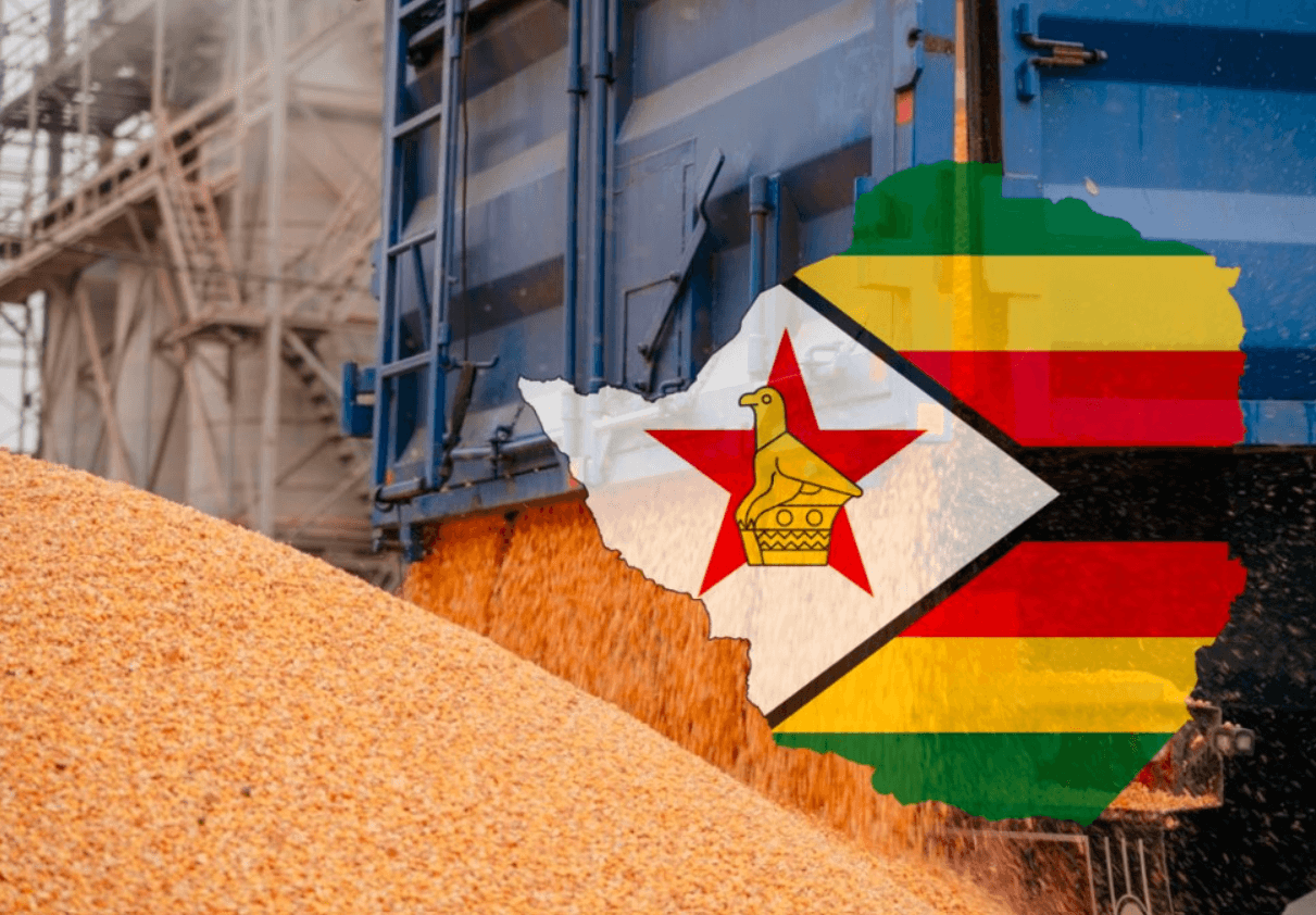 Zimbabwe Marks First Corn Export In Over Two Decades