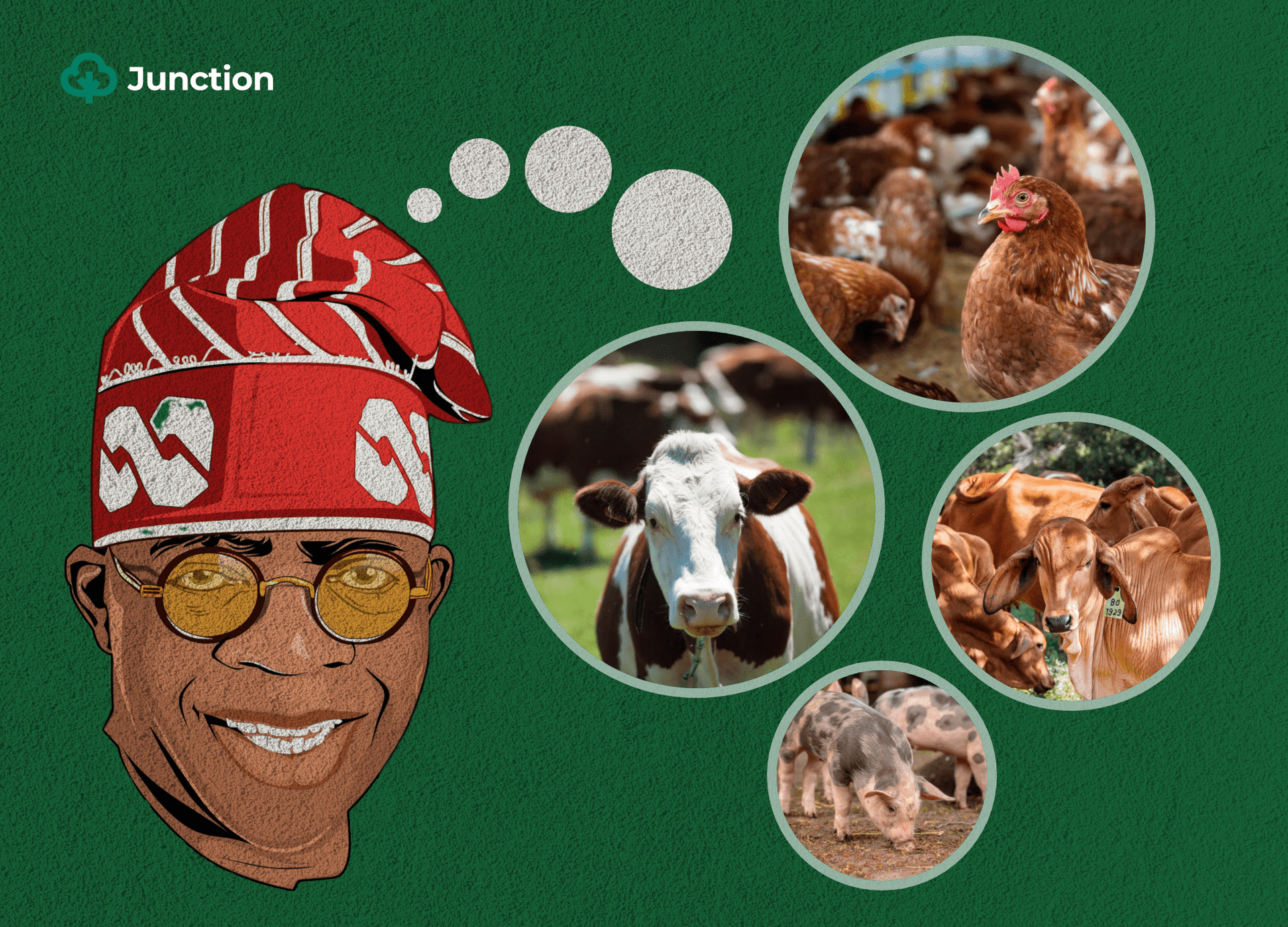 Why Tinubu should prioritise  Nigeria's livestock industry