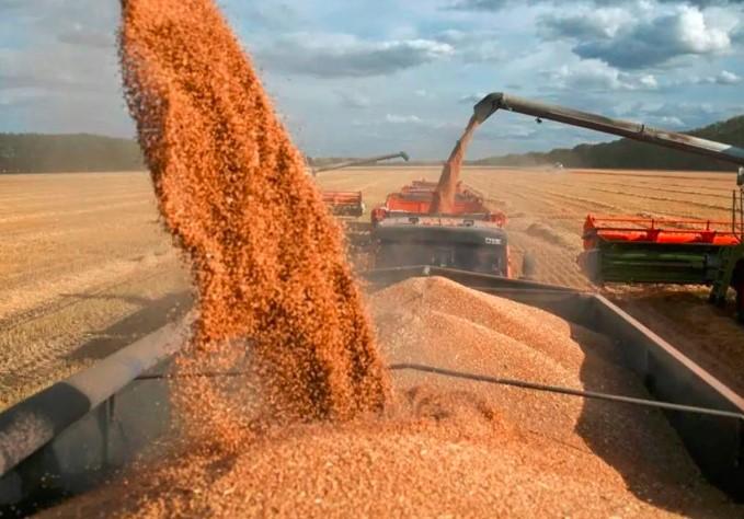 Russia To Maintain High Grain Export Quota Amidst Abundant Harvest