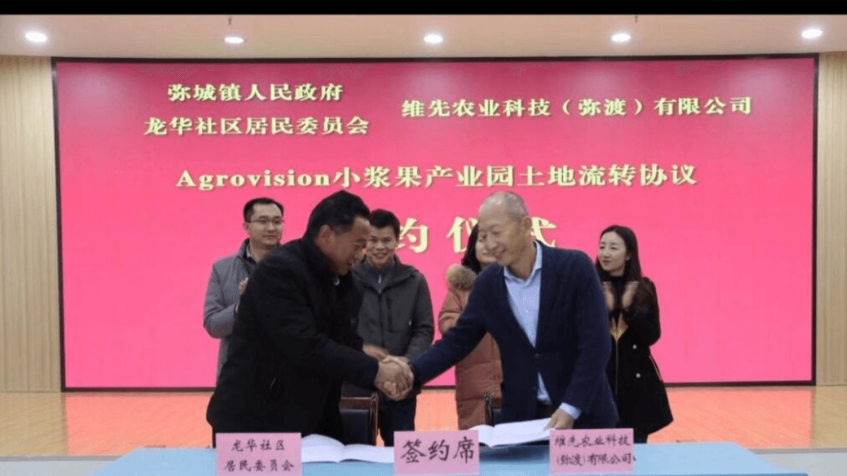 Agrovision To Establish 2,000 Hectare Blueberry Farming Operation In China