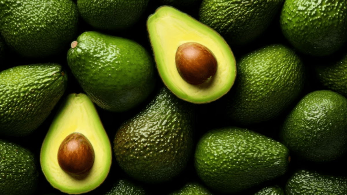 Peru Kicks Off 2024 Avocado Export Season, Targets Market Expansion