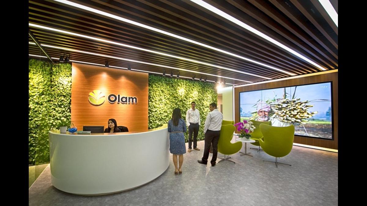 Olam Agri Temporarily Suspends Grain Purchases In Nigeria Amid Food Security Concerns
