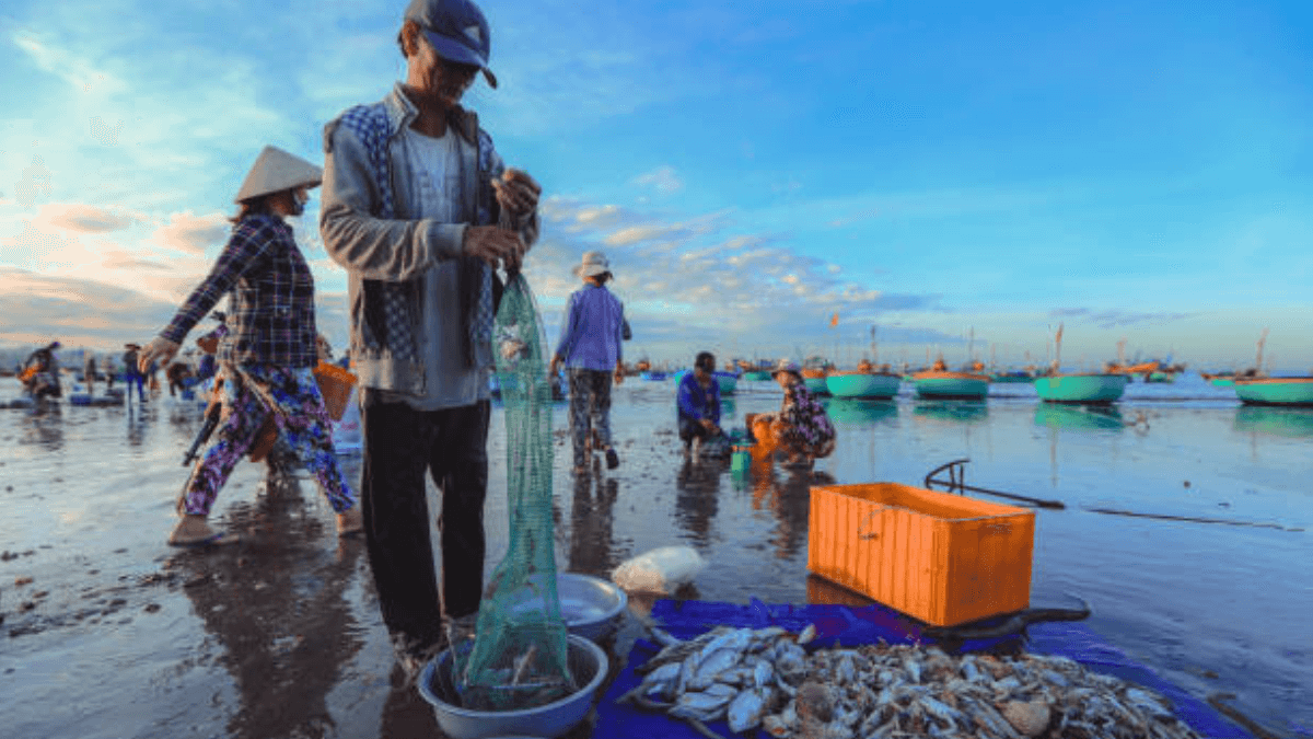 WTO's Fish Month Makes Strides Against Unsustainable Fishing Practices