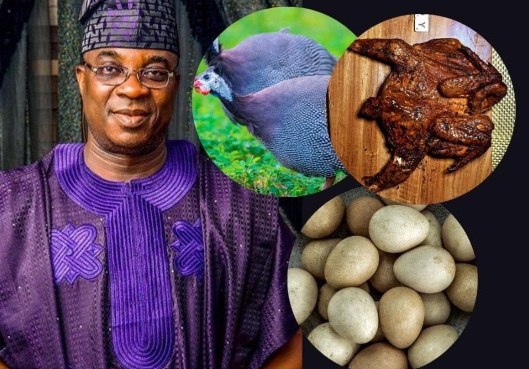 Fuji Music Icon K1 Ventures Into Guinea Fowl Farming, Aims To Make It A Staple
