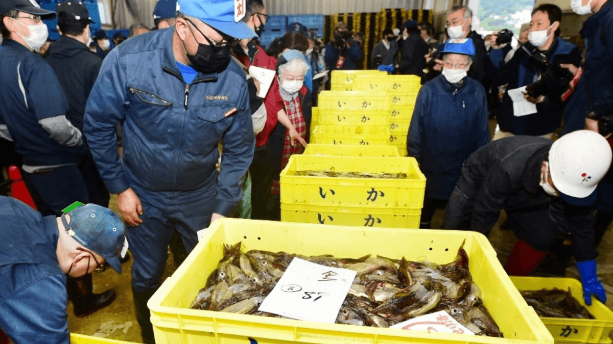 China Maintains Import Ban On Japanese Seafood As Fishermen Groan
