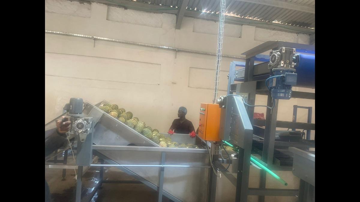 ReelFruit Launches Largest Dried Fruit Factory In Nigeria