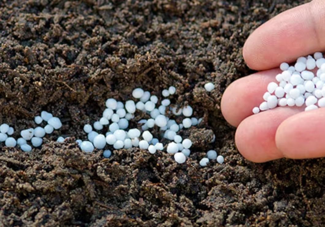 Zimbabwe-Bound Russian Fertiliser Gift Arrives Mozambiqueâs Docks