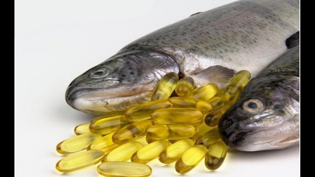 Ghanaian Association Urges EU To Restrict Unsustainable Fishmeal, Fish Oil Imports