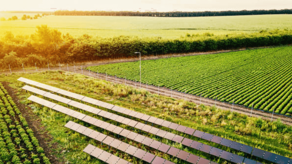 USDA $1.6b Initiative Powers Local Communities Through REAP