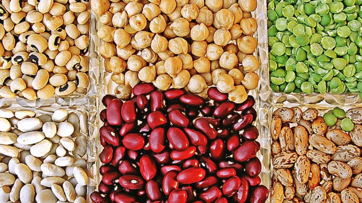 World Pulses Day 2024: Transformative Impact On Local Farmers