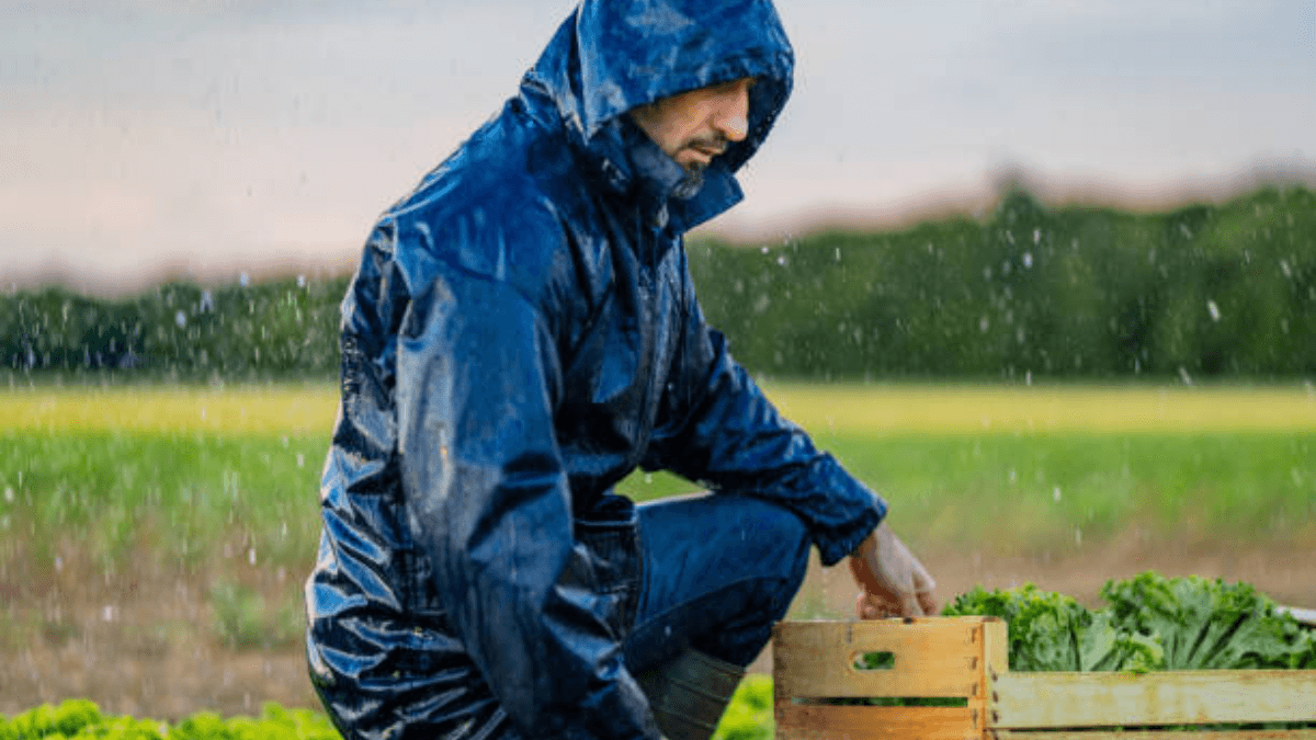 Recent Rains Boost Argentine Crops: Five Highlights Of The Week