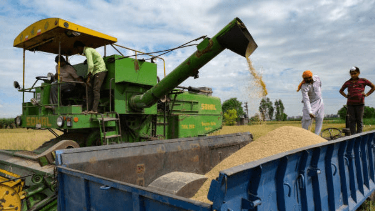 Global Rice Shortage Hits Nigeria, Ivory Coast, Others