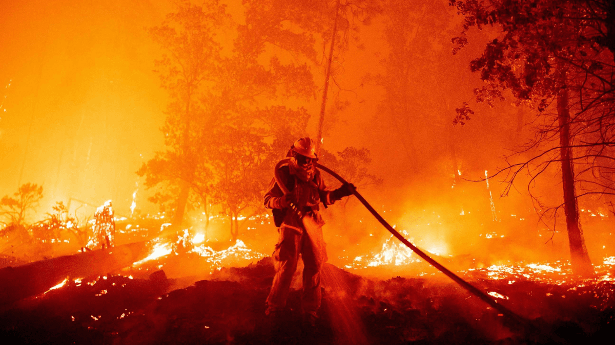 Biden-Harris Administration Allocates $500 Million To Tackle Wildfire Crisis