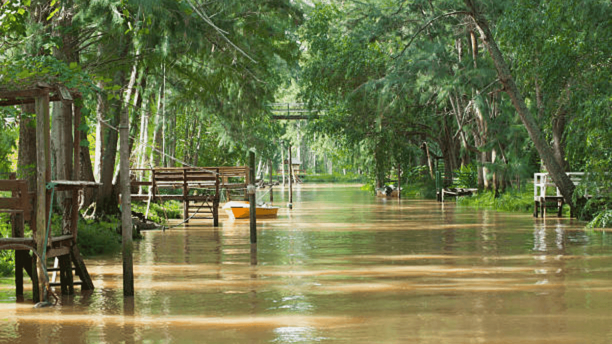 Heavy Rains Wreak Havoc On Argentina's Crops