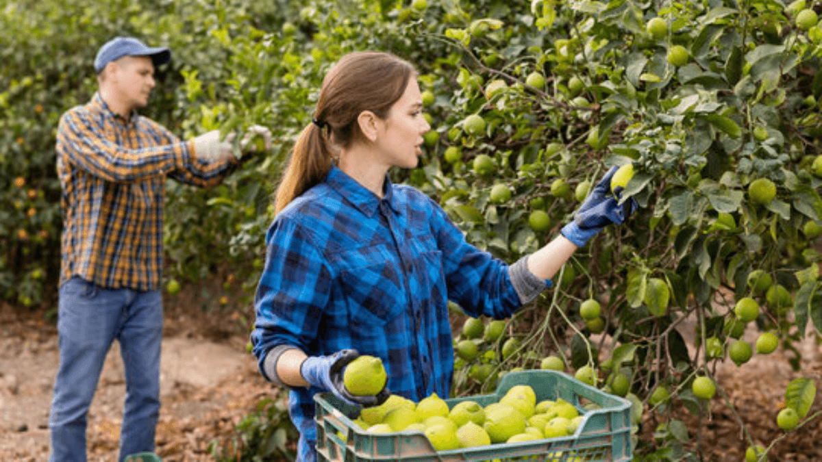 Nuffield Australia Opens $40,000 Scholarship Application To Farmers