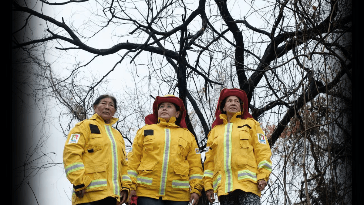 Bolivian Women Harness Almond To Defend Against Wildfires