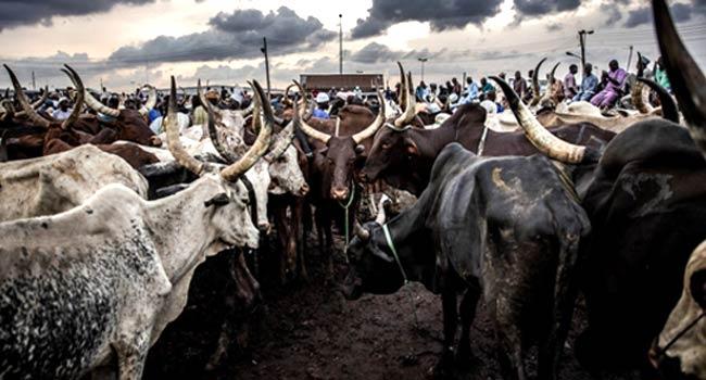 Yobe State Signs $2 Billion Deal For Solar Power, Livestock Development