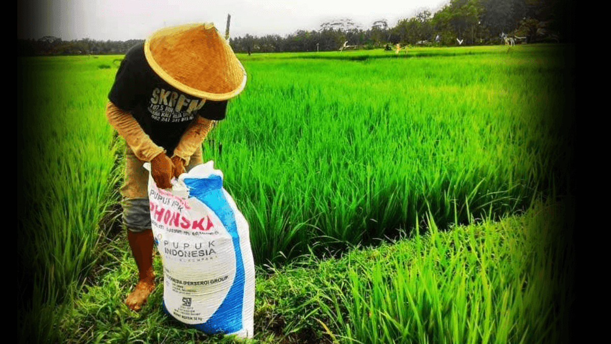 Pupuk Indonesia Exceeds Fertiliser Distribution Target