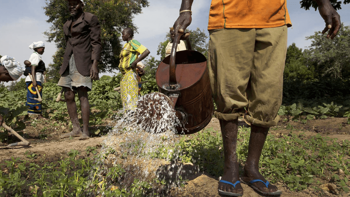 IFAD Launches $100 Million Multi-Donor Funding Facility To Boost Sahel Agriculture