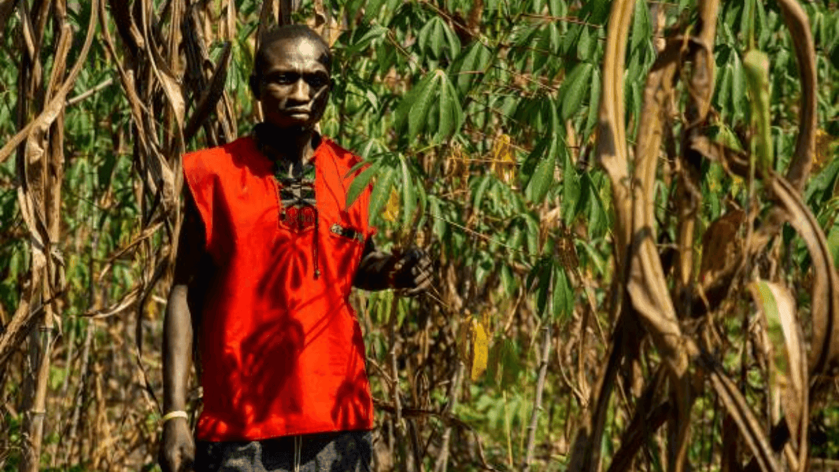 18 Million Sudanese Face Acute Hunger Amid Conflict