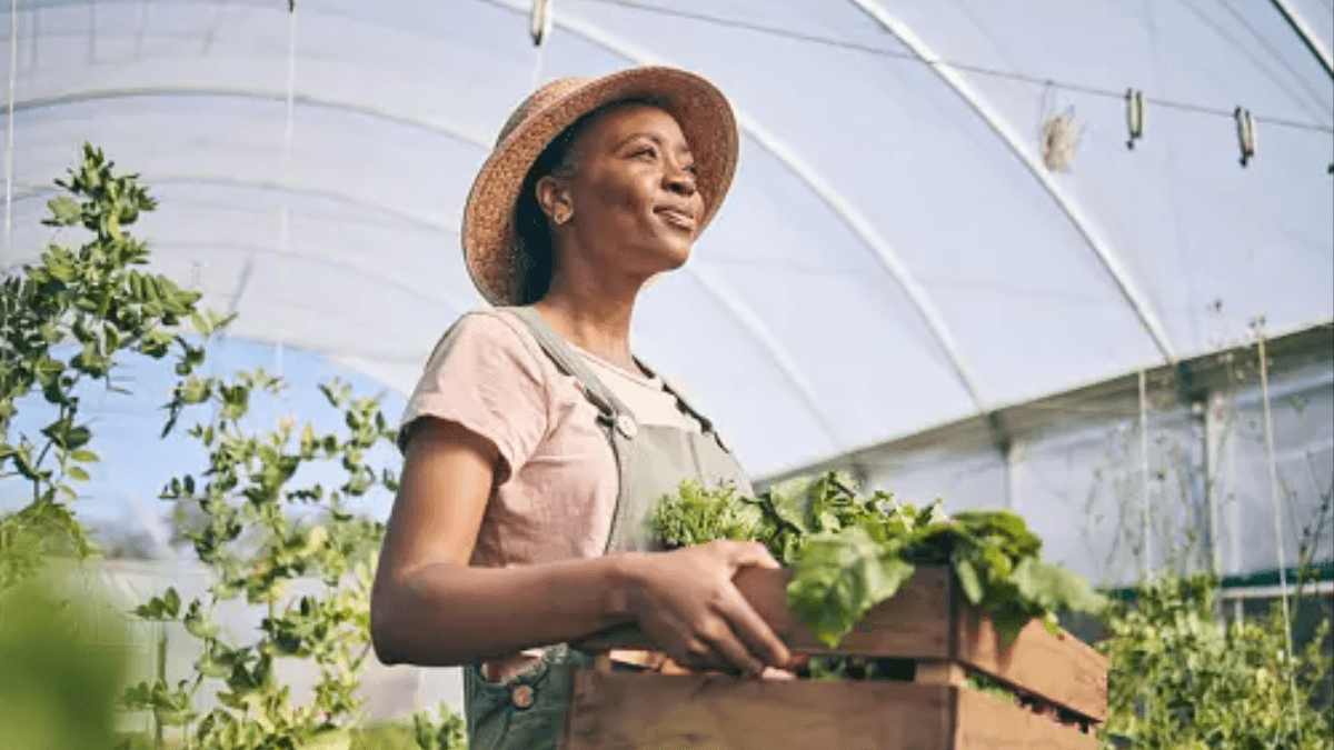 UN Report Raises Alarm, Urges Agrifood Solutions For Climate Crisis