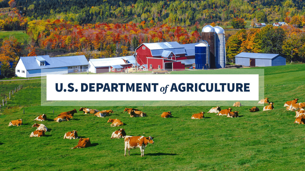 USDA Open Applications For Urban Agriculture And Innovative Production Grants