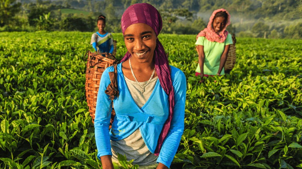 Empowering Women In Agriculture Could Boost Global GDP By $1 Trillion