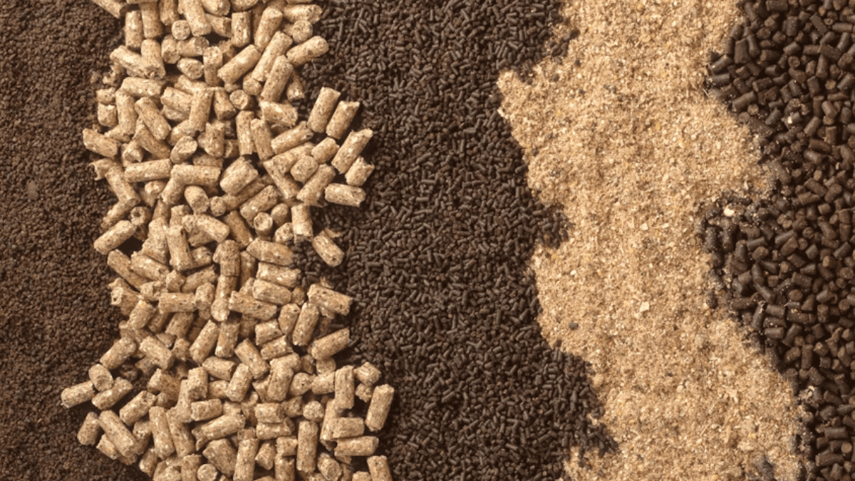 Brazil To Host Latin American Feed Workshop