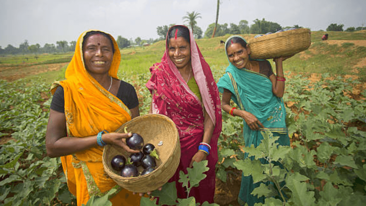 Climate Change Costs Rural Women $37 Billion