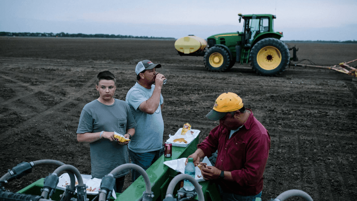 Arkansas Farmers Brace For $500 Million Income Decline In 2024
