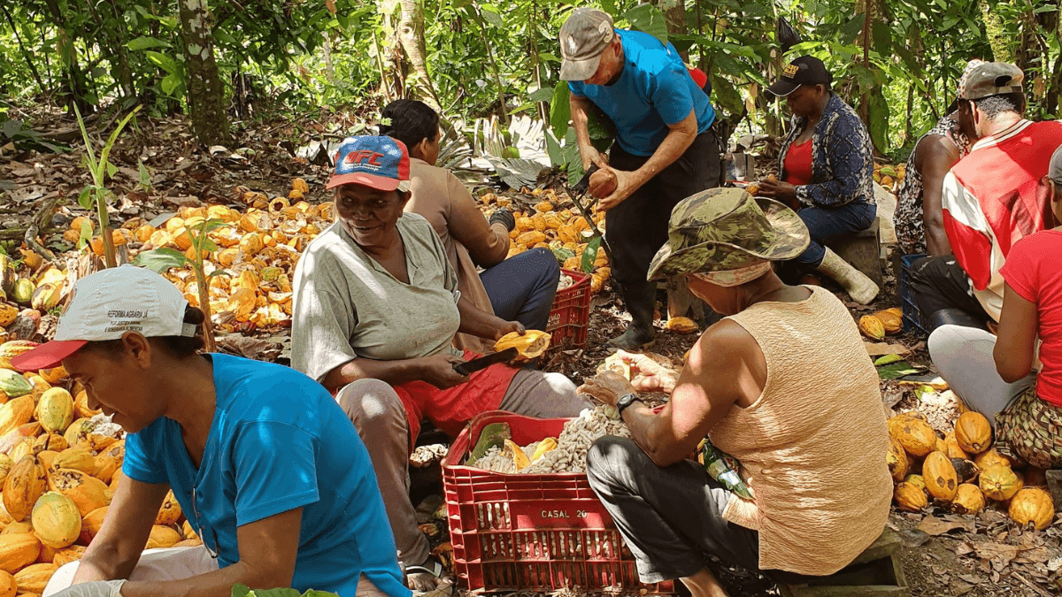 IFAD Launch Compensation Project To Boost Agroforestry In Brazil