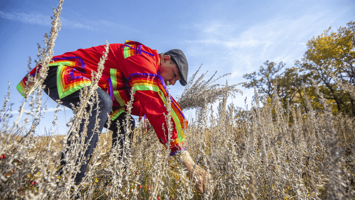 USDA To Hold Annual Consultation And Listening Session On Tribal Barriers