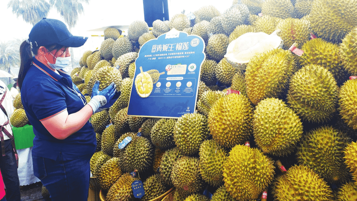Vietnam's Durian Market Sees 50% Drop In Prices