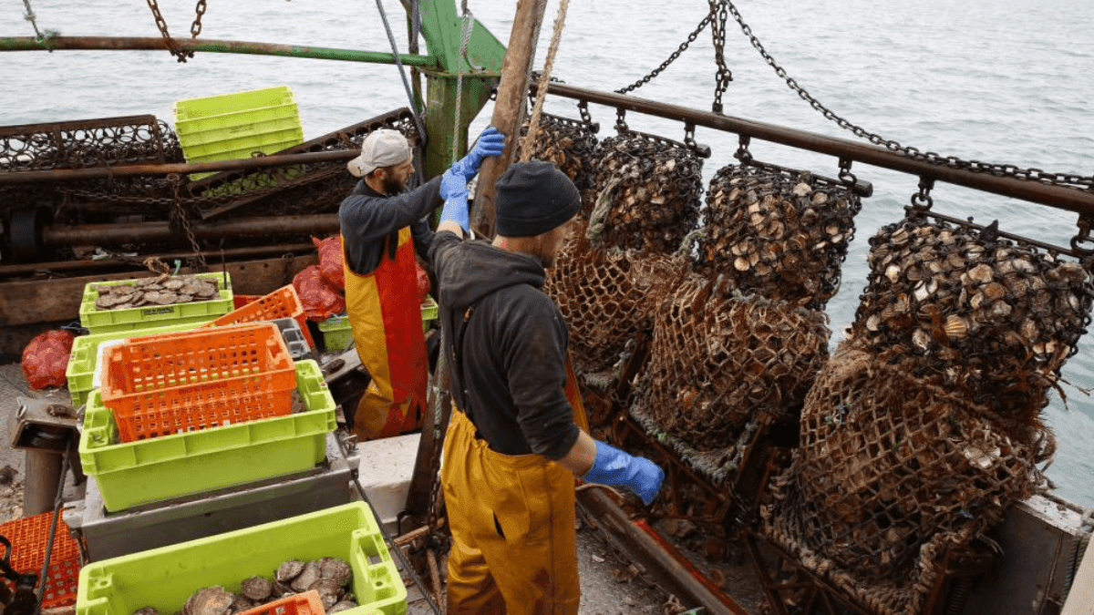 Greece Bans Bottom Fishing To Protect Marine Ecosystems