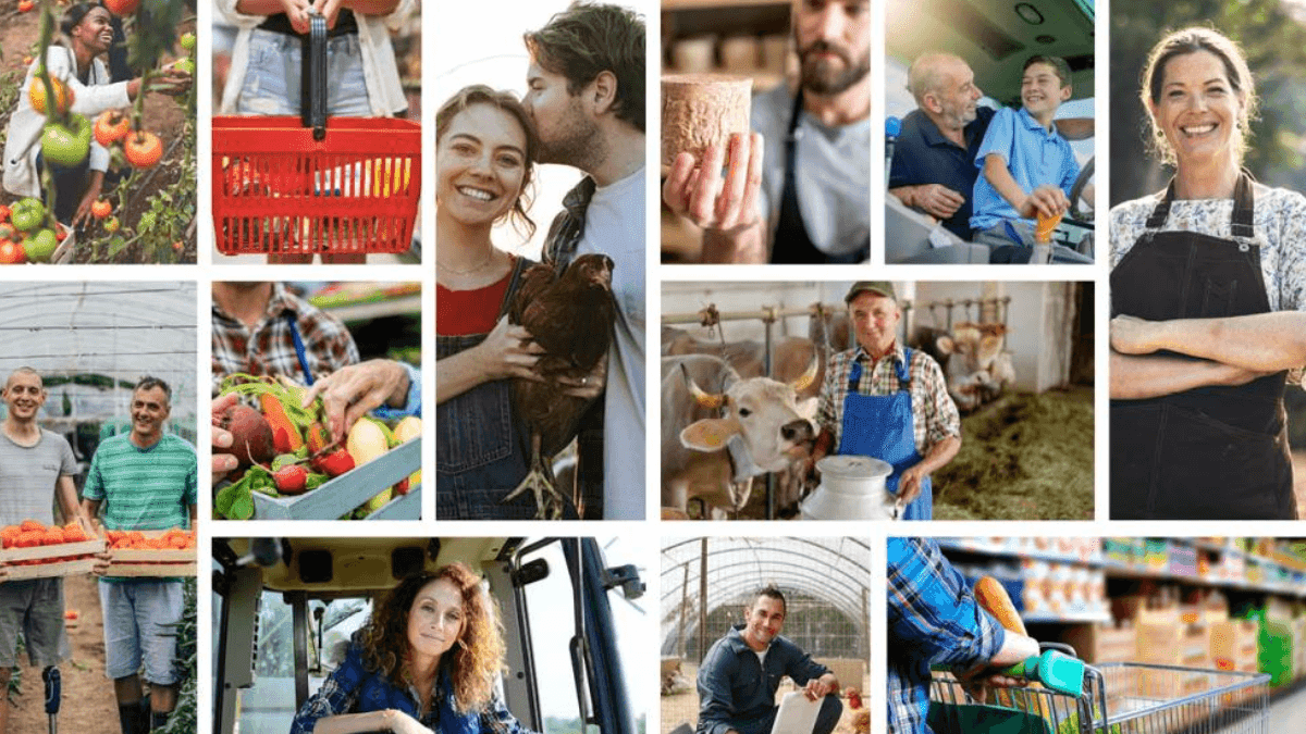 European Commission Launches Agriculture And Food Chain Observatory