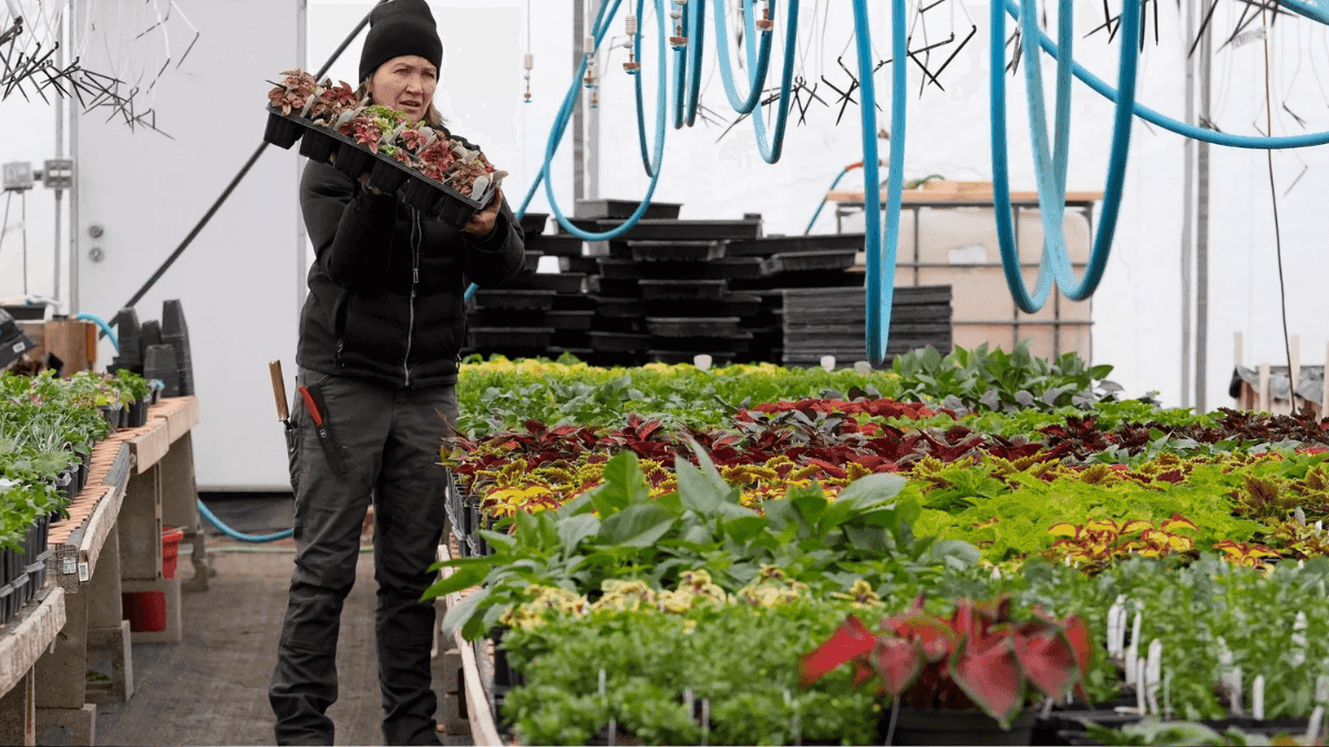 Study Reveals Impact Of Organic Farming On Pesticide Use In California Farms
