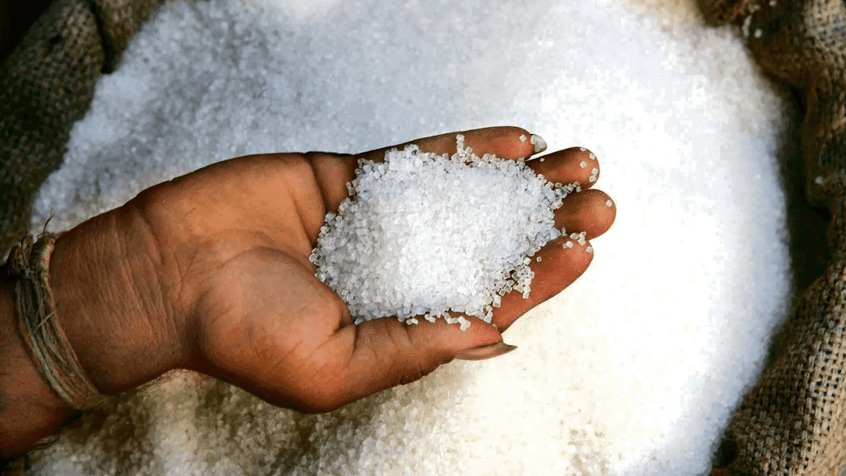 Belarus Emerges As Alternative Sugar Supplier, Sending 8,400 Tonnes To Central Asia