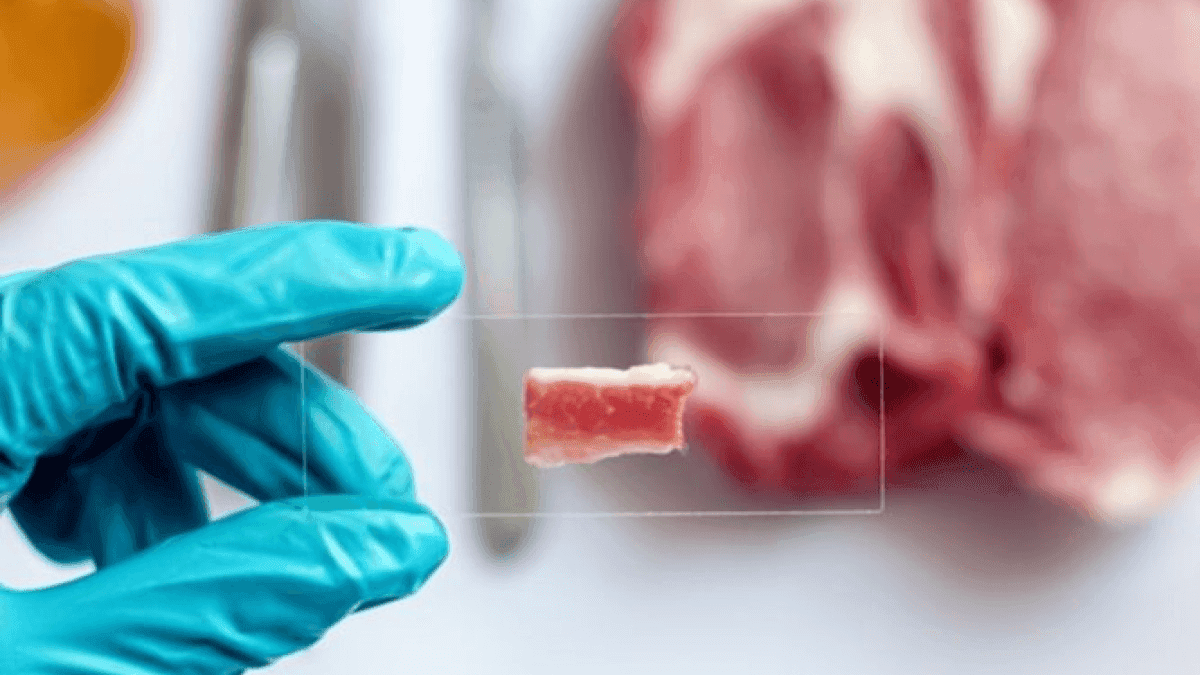 USDA Announce Updates On H5N1 Beef Safety Research