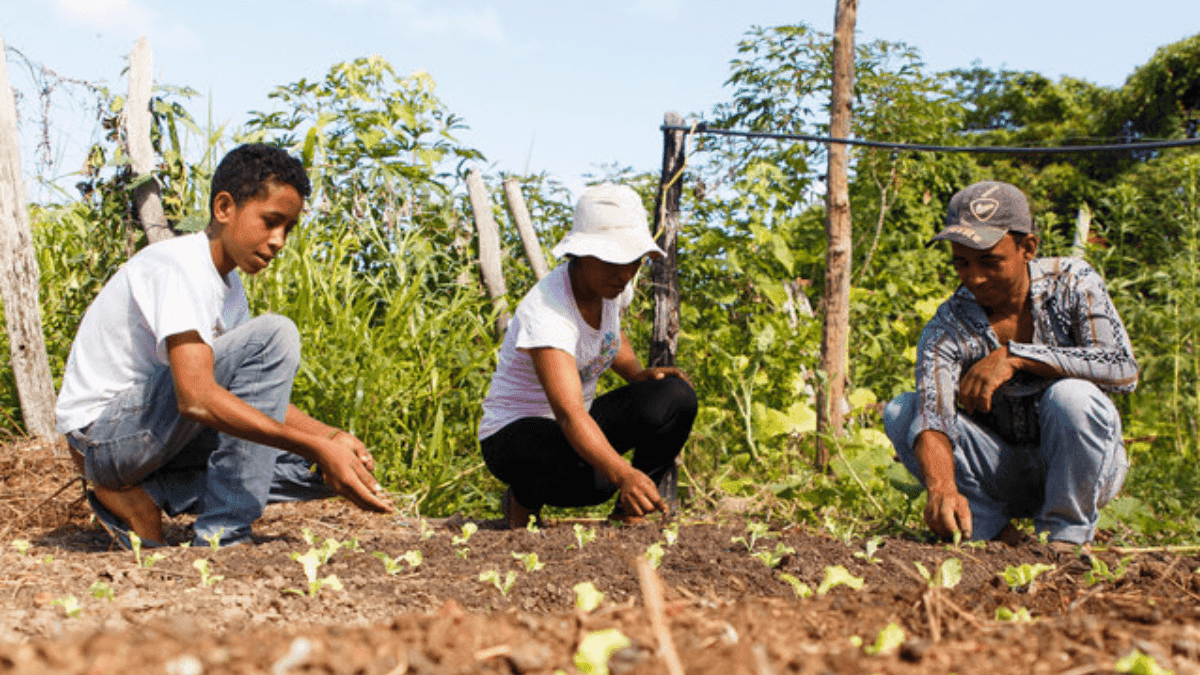 Over 250,000 Farmers To Benefit From $54M Climate Resilience Project In Brazil