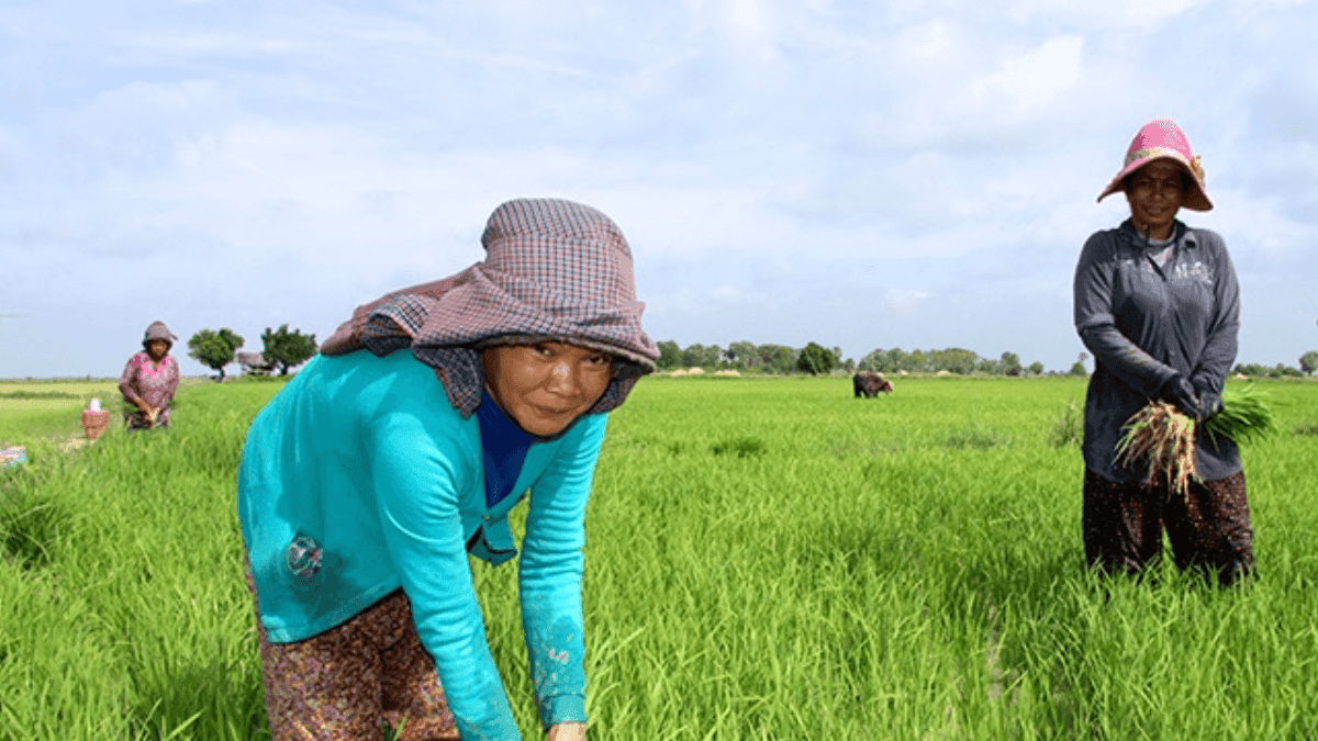 IFAD, Cambodia Strengthen Collaboration To Empower Small-Scale Farmers