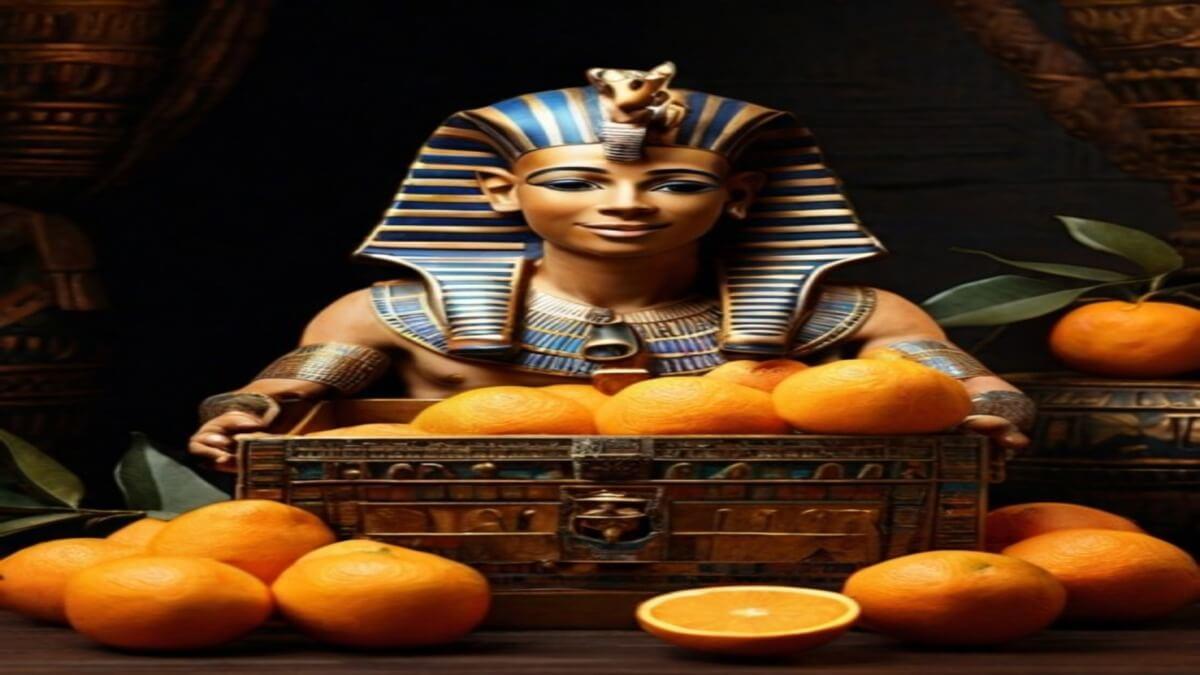 'We Are Largest Orange Exporters in Africa' – Egypt's Agriculture Minister