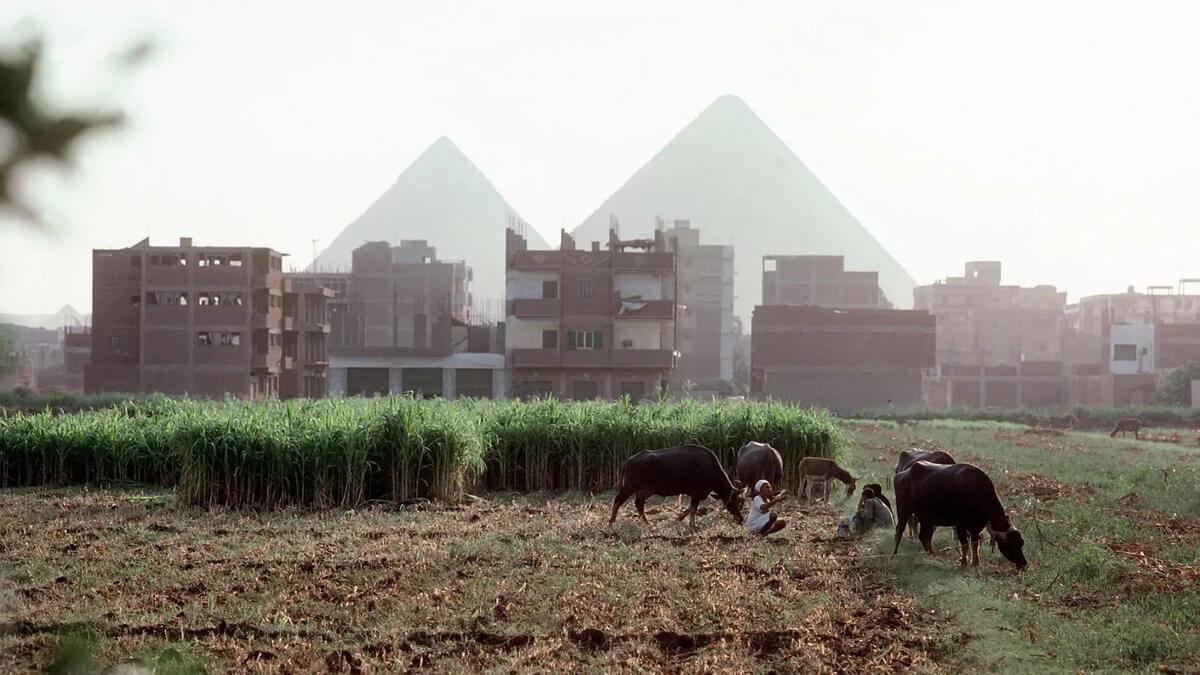 Egypt's Food Exports Surge In Q1 2024, With Arab Countries Topping Export Destinations