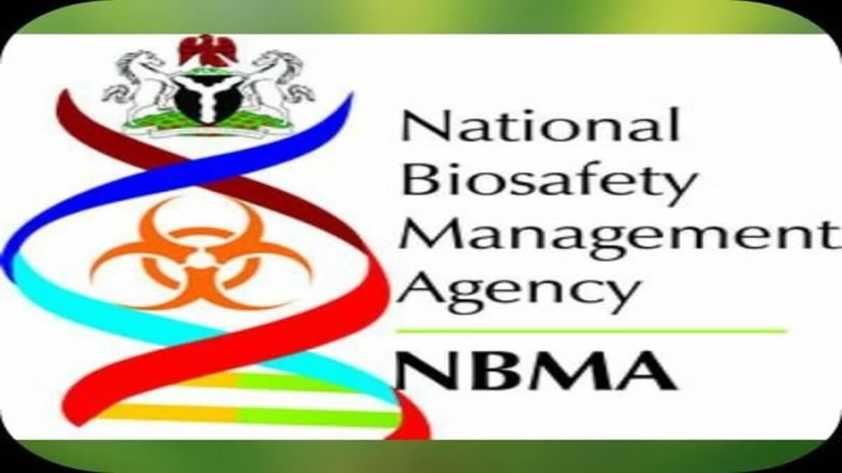 Nigeria's Biosafety Agency Reassures Public On GMO Safety Amidst Legislative Review