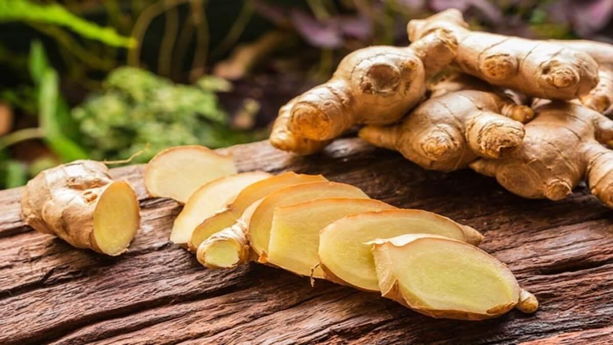 Nigeria's Ginger Rebound Plan: Free Inputs To Bolster Kaduna's Leading Role