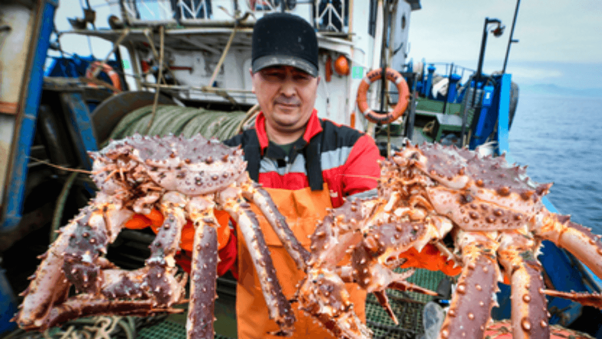 China Becomes Top Buyer Of Fish Products From Russia