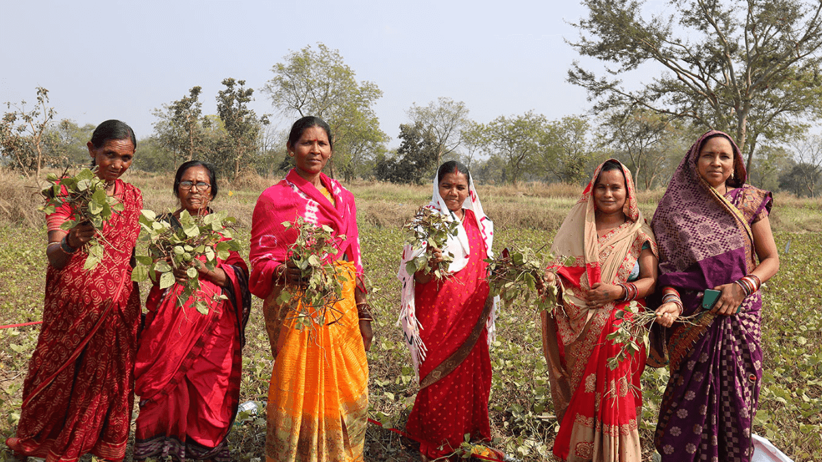 UN Declares 2026 As International Year Of The Woman Farmer