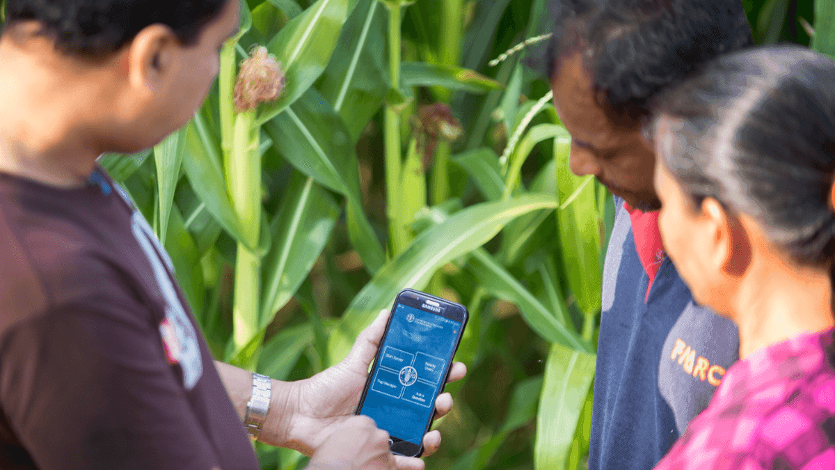 FAO Emphasises Tech Role On International Day Of Plant Health