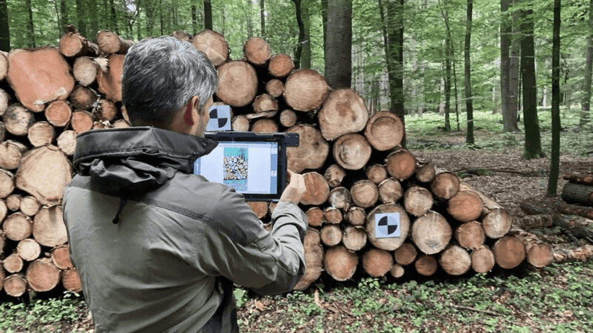Guyana, EU Join To Launch Digital Wood Tracking System